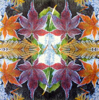 001 Plants - 3 ply - Molca